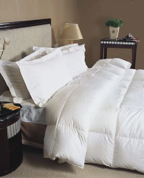 Down Comforter